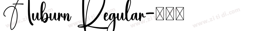 Auburn Regular字体转换